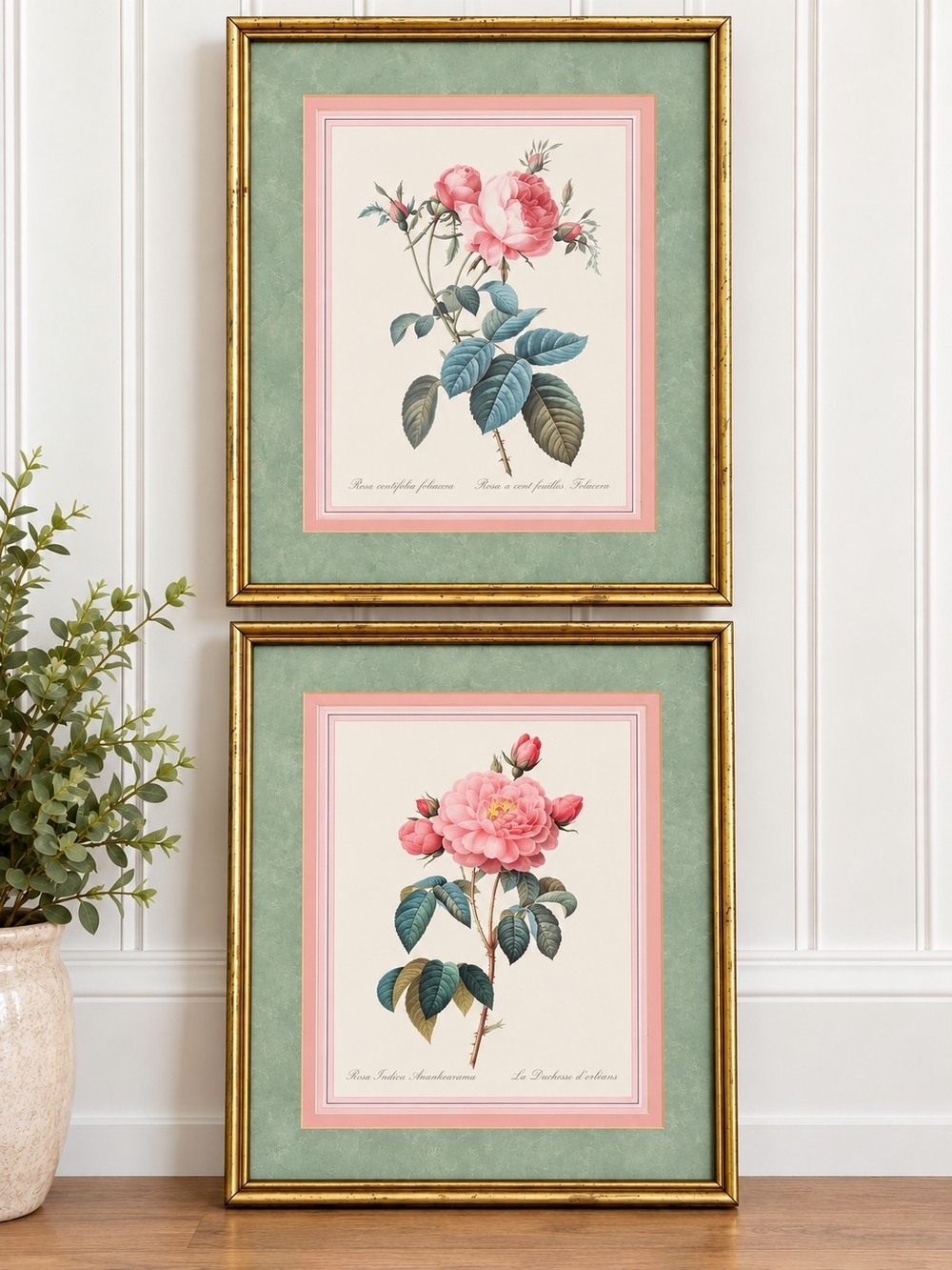 Set of 2 Rose Botanical Art in Gold Wooden Frame Double Matted 14½ x 12 ½ inches